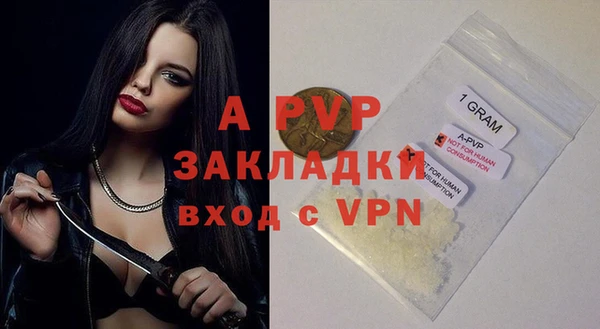 mdpv Богородицк