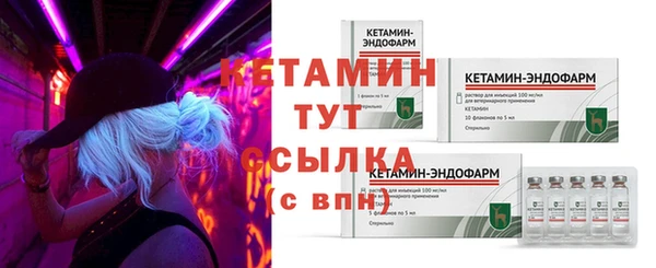 гидра Богородск