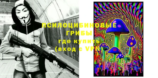 mdpv Богородицк