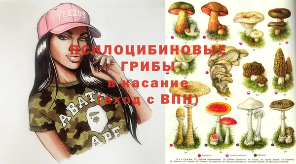 гидра Богородск