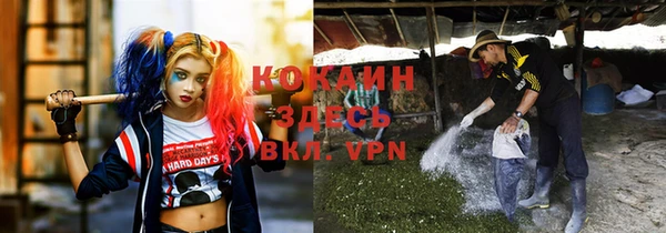mdpv Богородицк