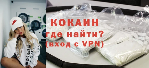 гидра Богородск